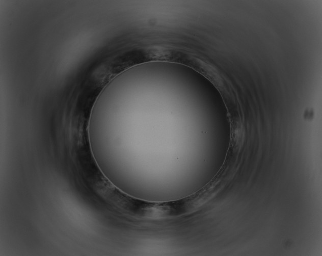 X0000091480525200708301917