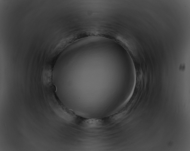 X0000091480526200708301917