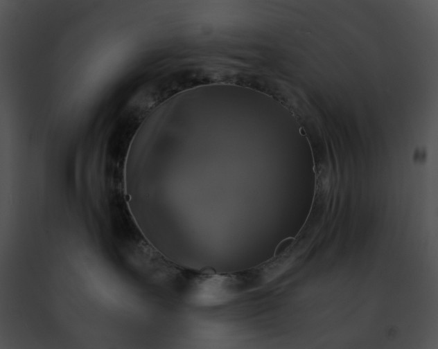 X0000091480527200708301917