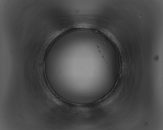 X0000091480529200708301916