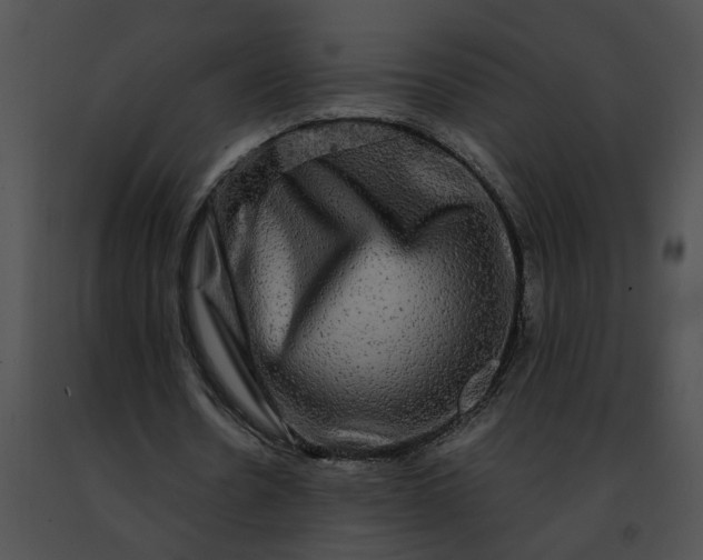 X0000091480530200708301916