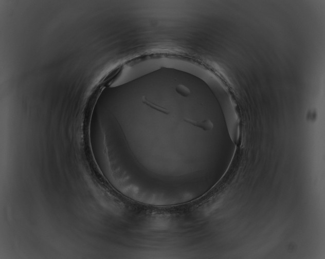 X0000091480531200708301916