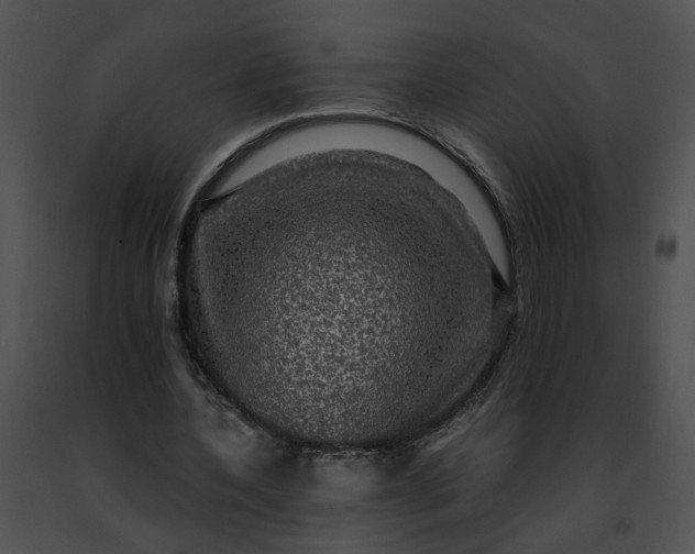 X0000091480532200708301916