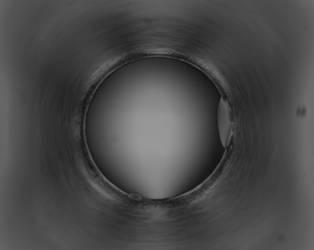 X0000091480533200708301916