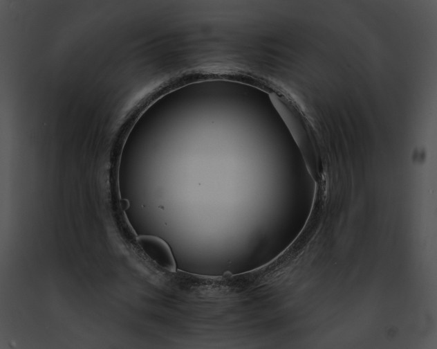 X0000091480535200708301916