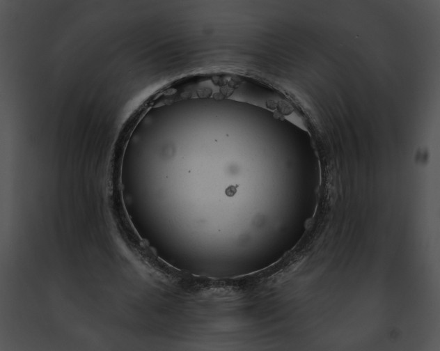 X0000091480536200708301916