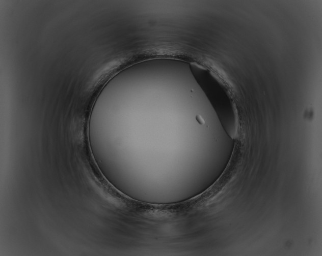 X0000091480537200708301916