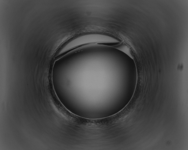 X0000091480538200708301916