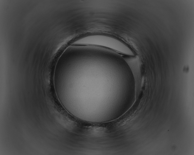 X0000091480539200708301916