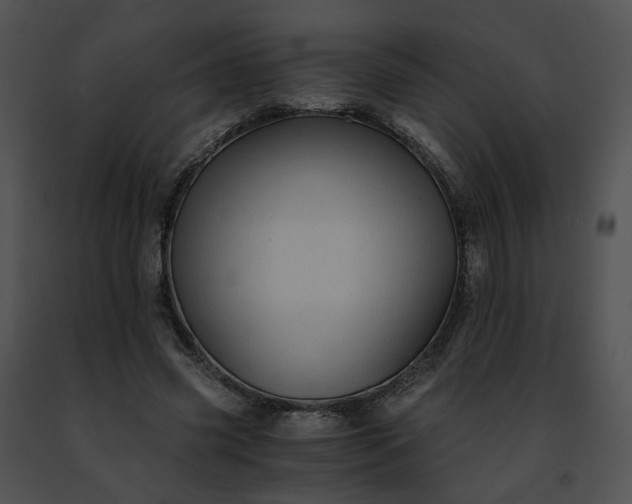 X0000091480541200708301916