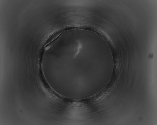 X0000091480542200708301916