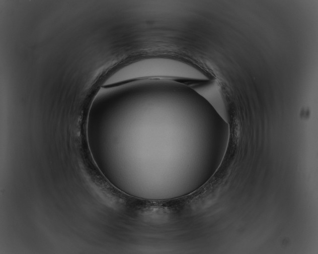 X0000091480543200708301916