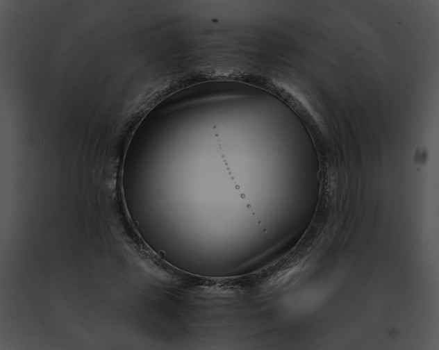 X0000091480545200708301916