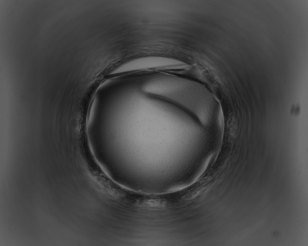 X0000091480546200708301916