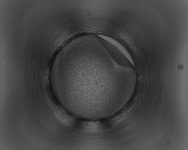 X0000091480548200708301916