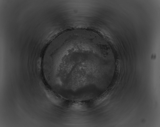 X0000091480550200708301917