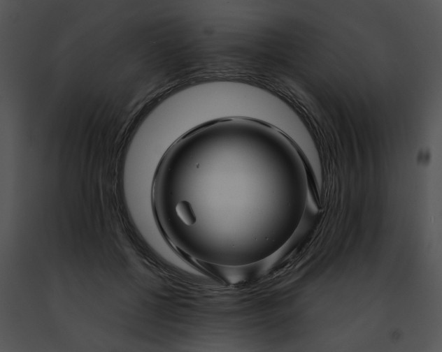 X0000091480552200708301917