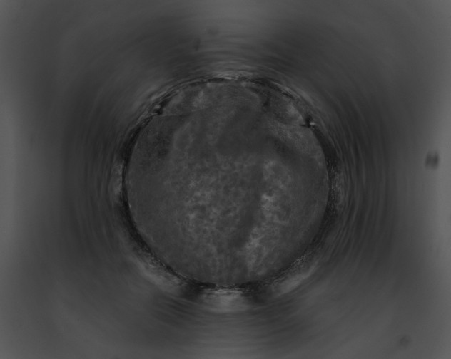 X0000091480554200708301917