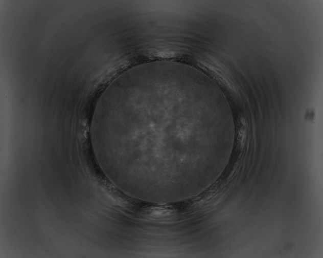 X0000091480555200708301917