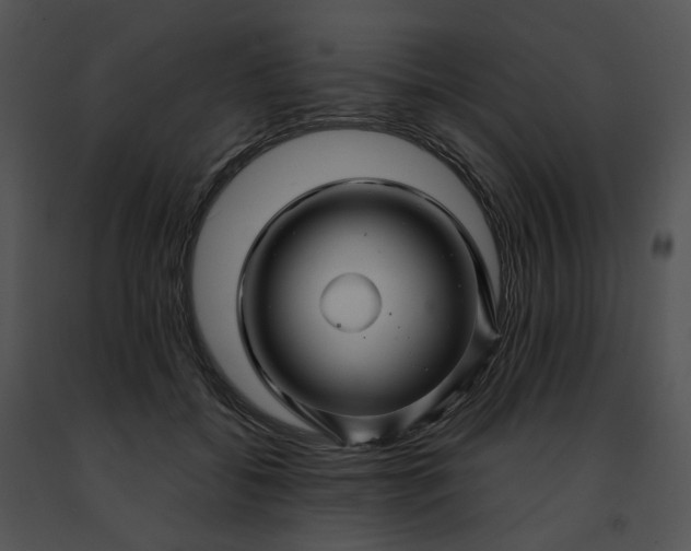 X0000091480556200708301917