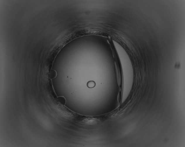 X0000091480557200708301917