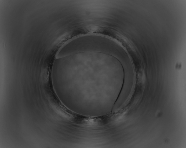 X0000091480558200708301917