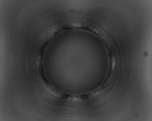 X0000091480559200708301917