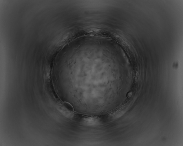 X0000091480561200708301917