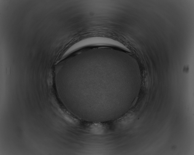 X0000091480562200708301917