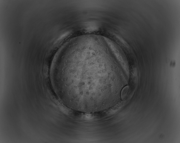 X0000091480565200708301917