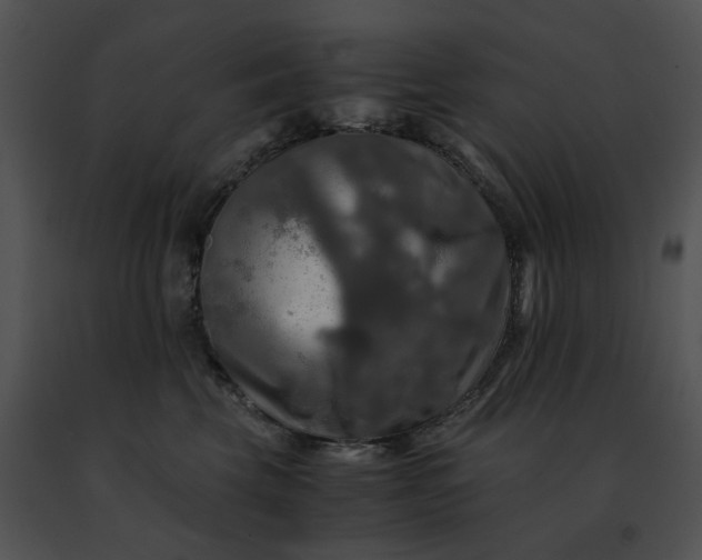 X0000091480569200708301917