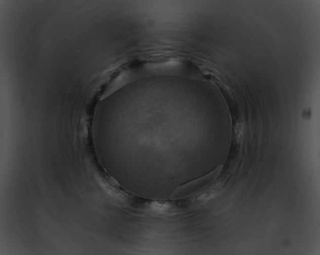 X0000091480570200708301917