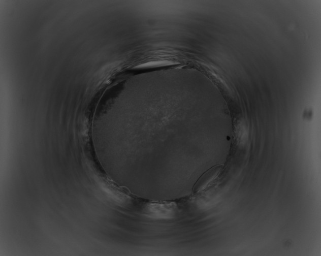 X0000091480571200708301917