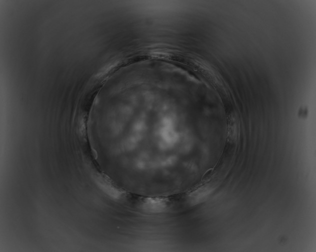 X0000091480573200708301917