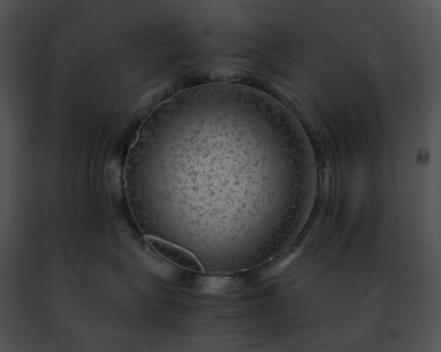 X0000091480575200708301917