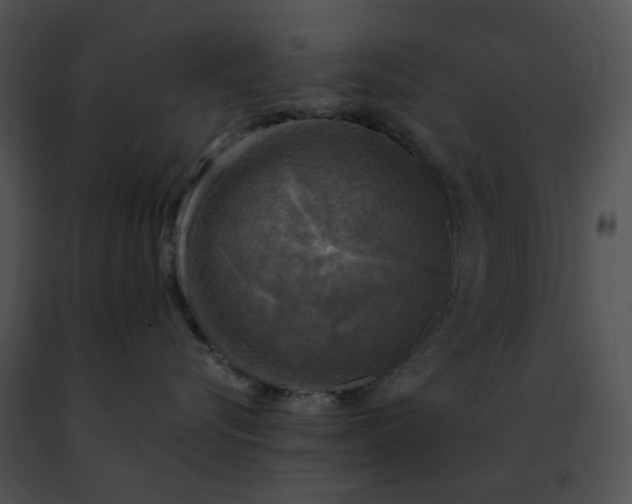 X0000091480576200708301917