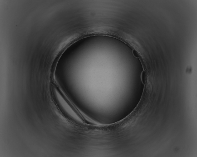 X0000091480578200708301916