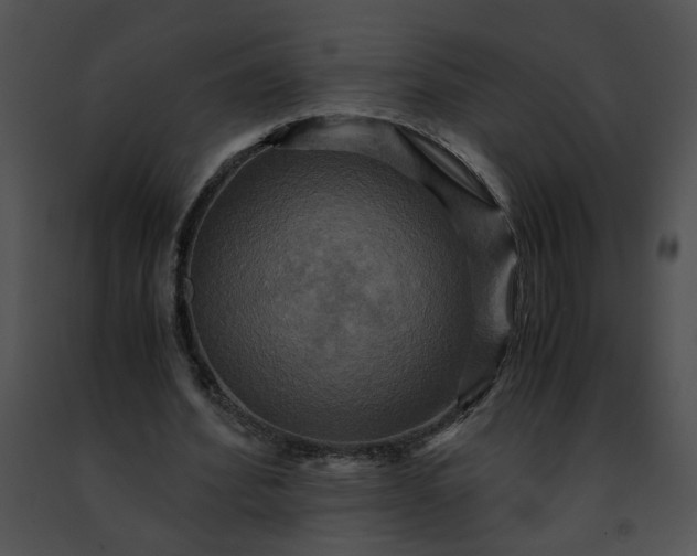 X0000091480580200708301916