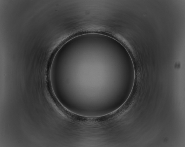 X0000091480581200708301916