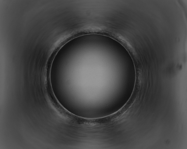 X0000091480582200708301916