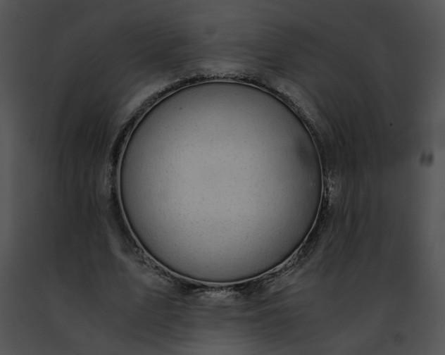 X0000091480583200708301916