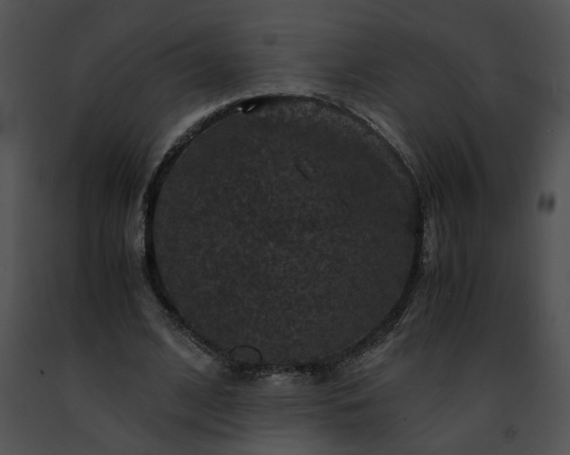 X0000091480584200708301916