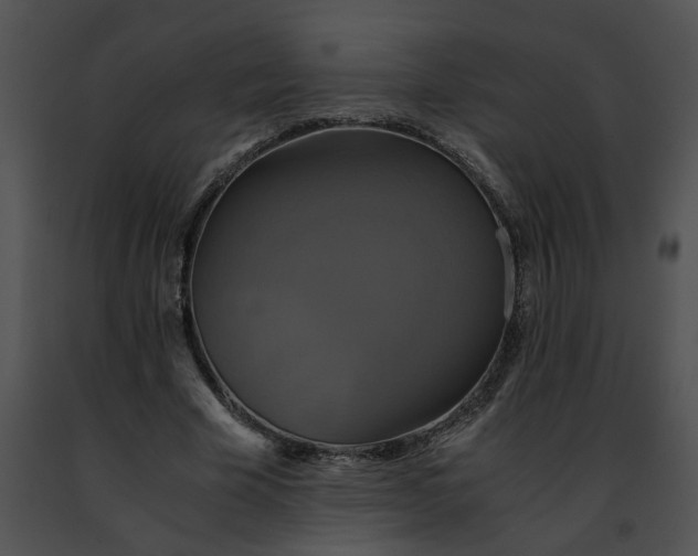 X0000091480585200708301916