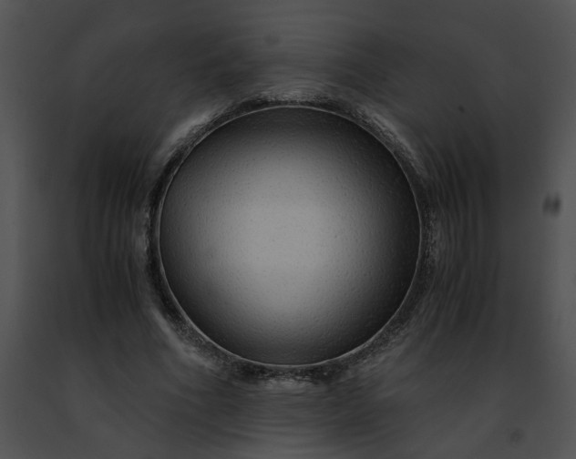 X0000091480586200708301916