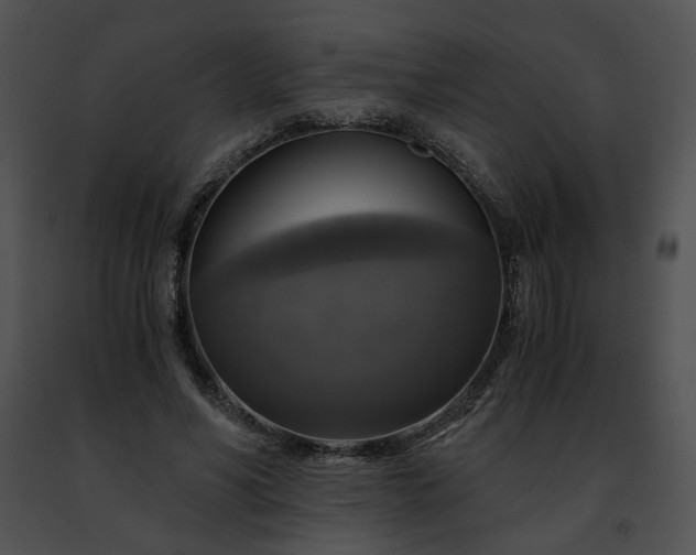 X0000091480590200708301916