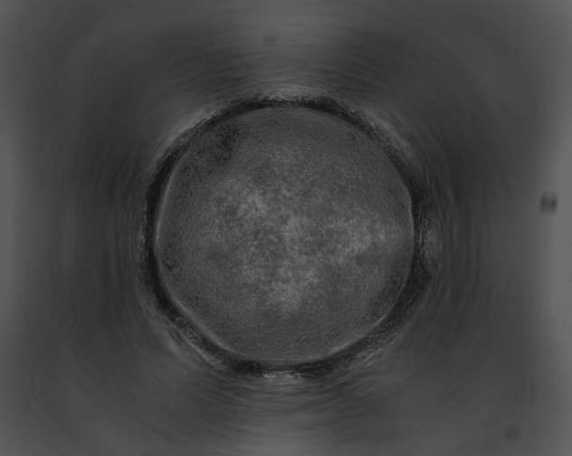 X0000091480591200708301916