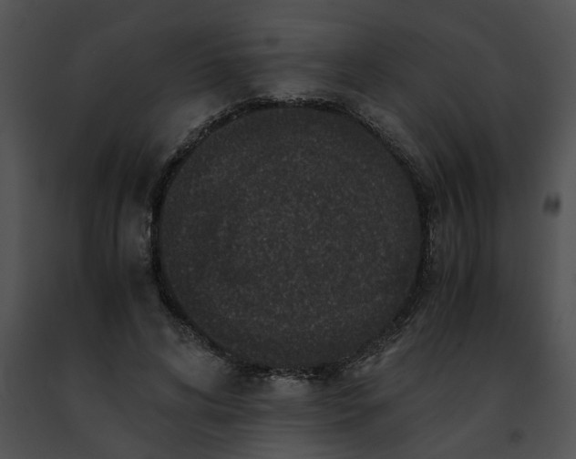 X0000091480592200708301916