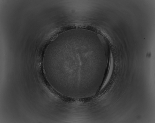 X0000091480593200708301916