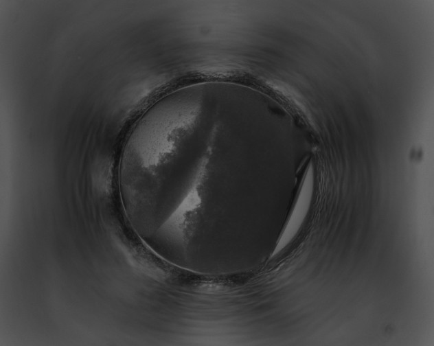 X0000091480596200708301916