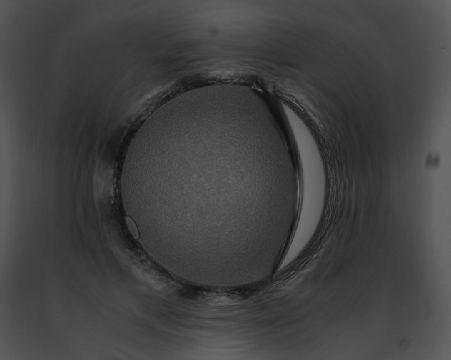 X0000091480597200708301916